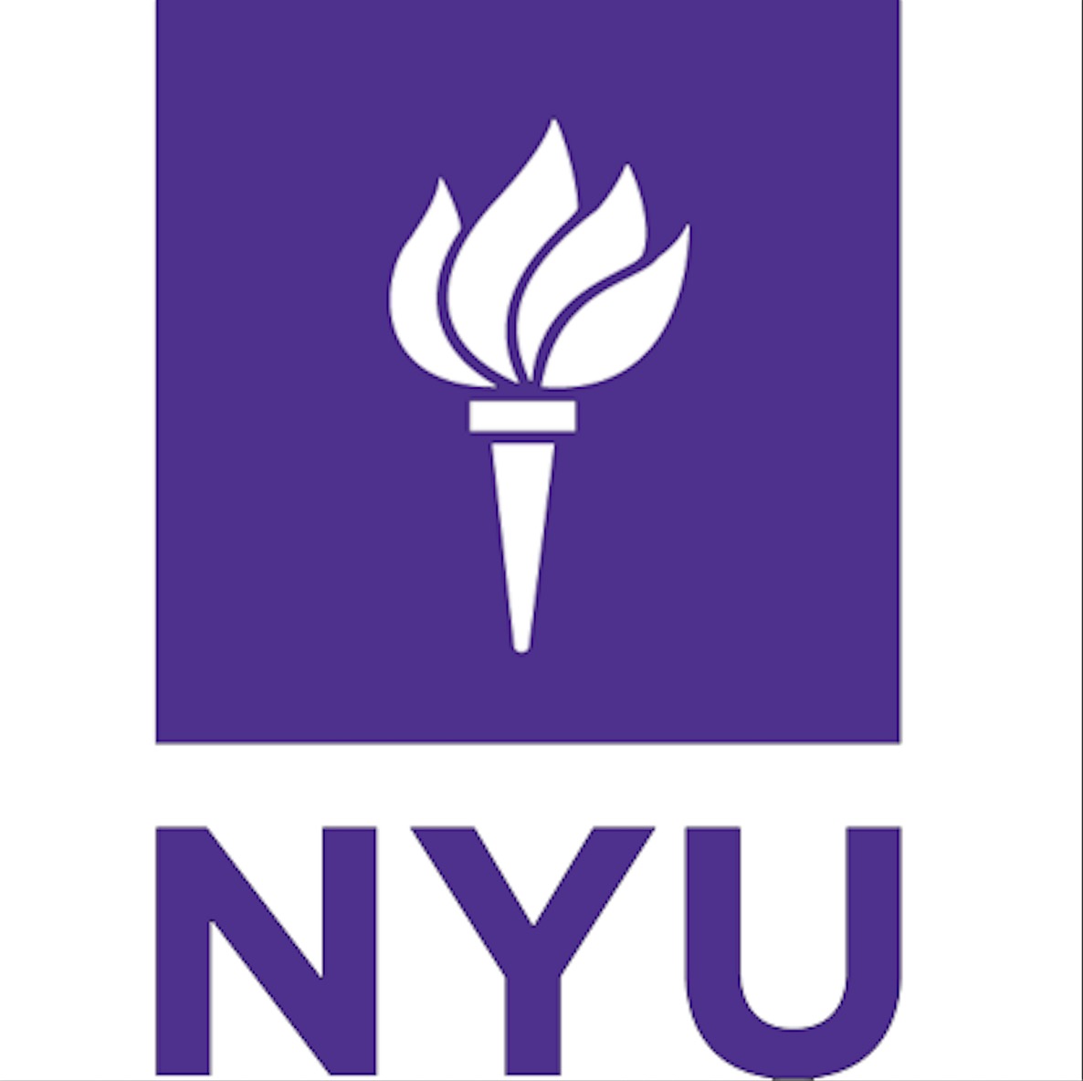New York University